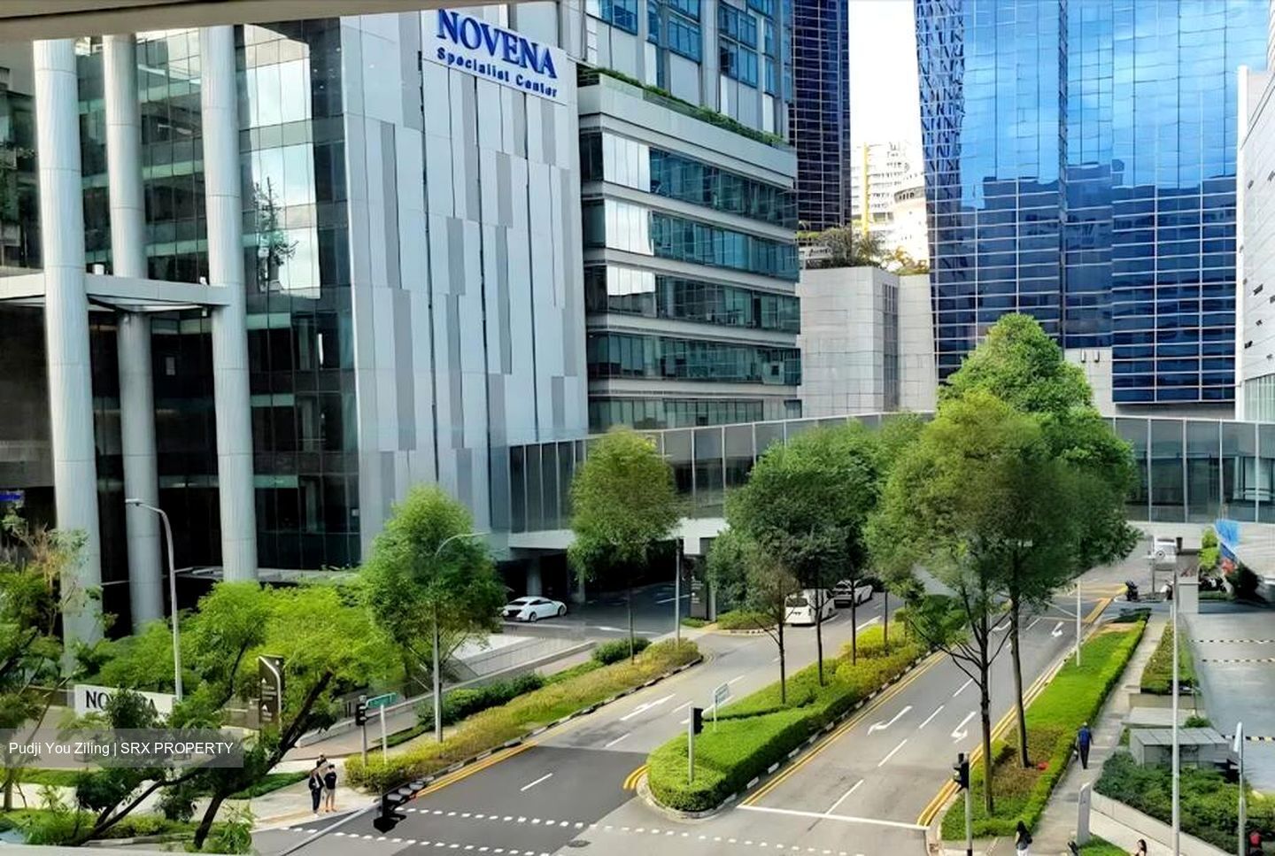 Oasia Hotel/novena Specialist Center (D11), Office #458630921